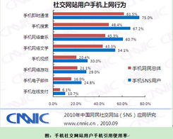 中国互联网络信息中心与互联网信息服务的监管与发展